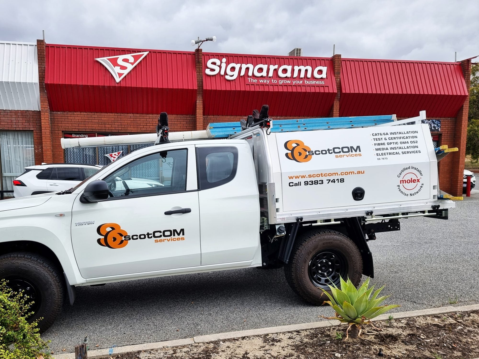 Assorted Vehicle Graphics