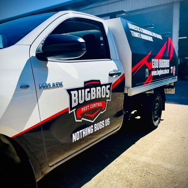 Eye Catching Vehicle Signage for the Bug Bros
