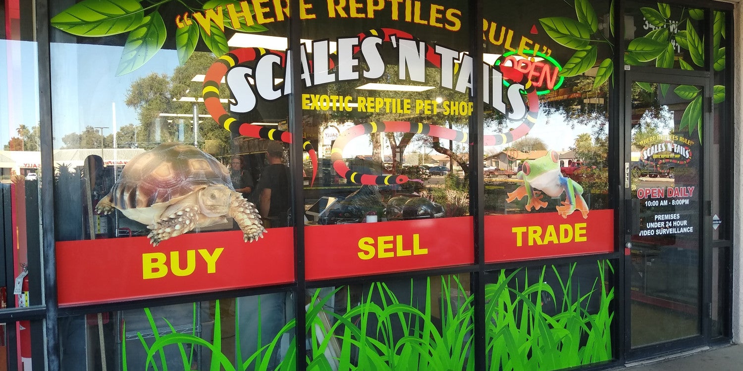 Window Graphics