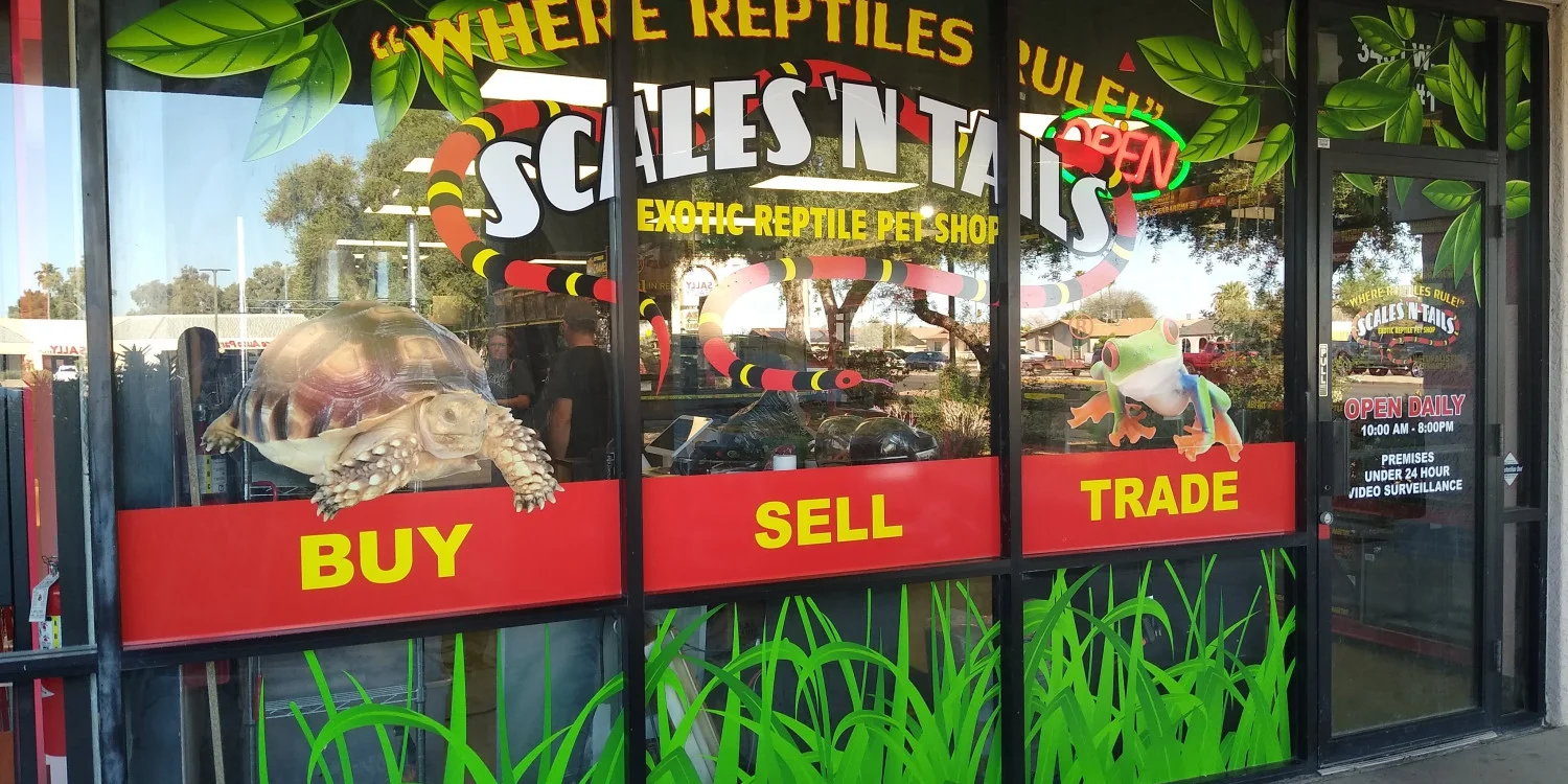 Storefront Window Graphics