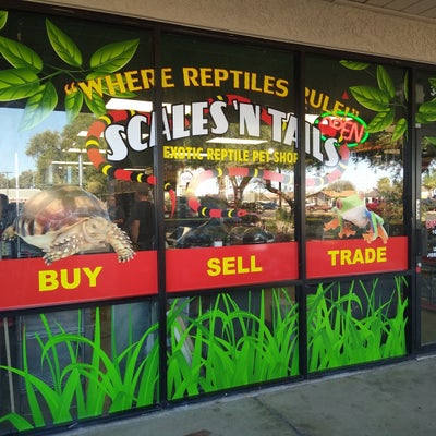 Window Signs