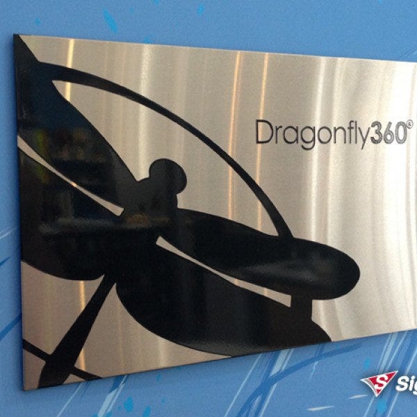 stainless-dragonfly