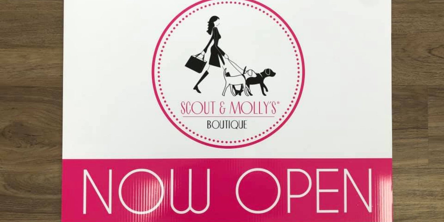 Yard Signs San Antonio NW, TX