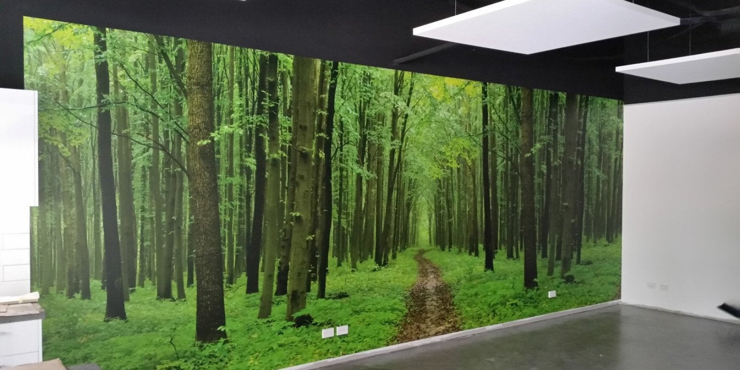 Wallpaper & Murals in Springwood