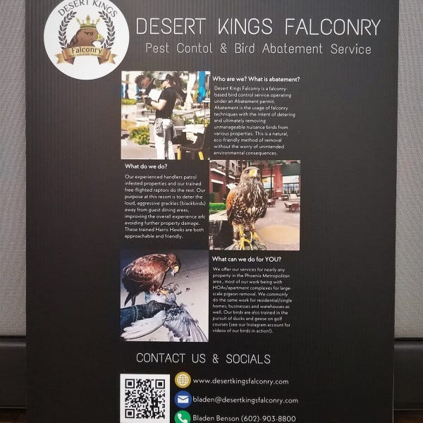 Desert Kings Falconry