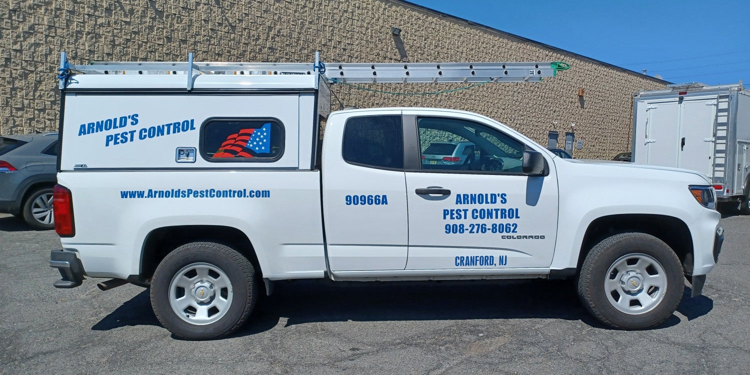 Vehicle Lettering