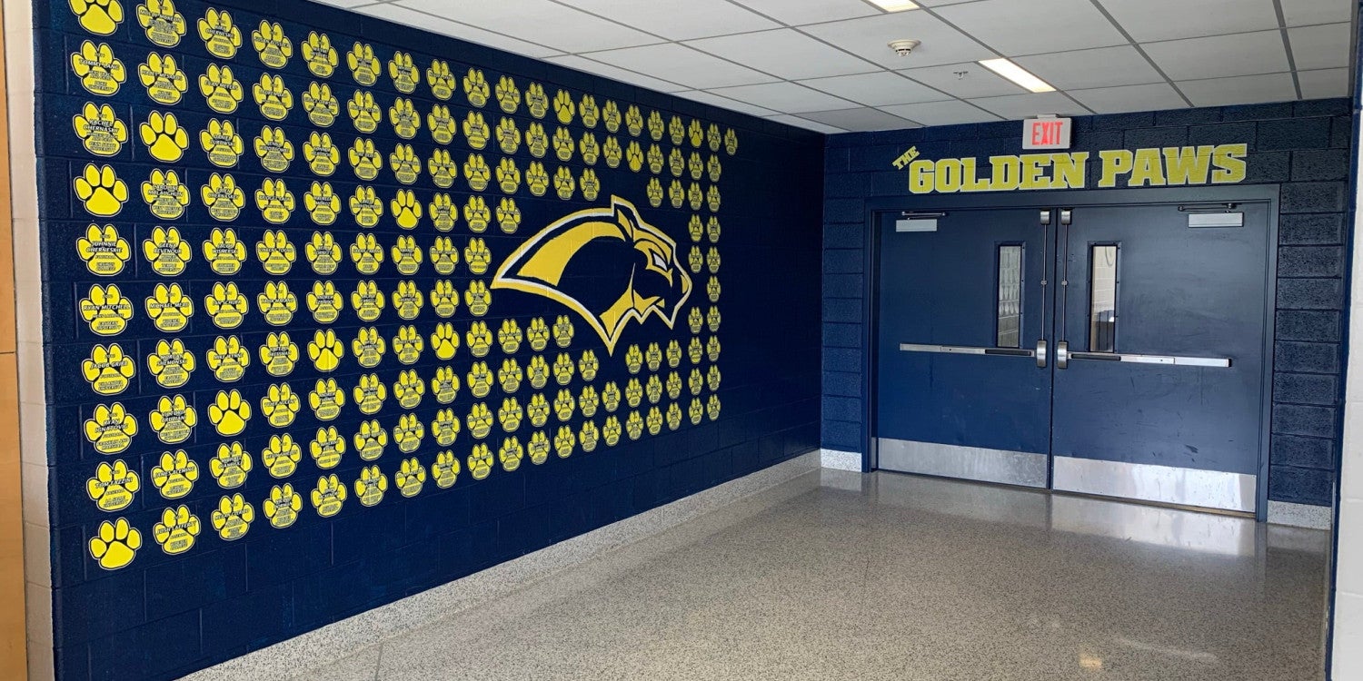 Wall Graphics & Wraps