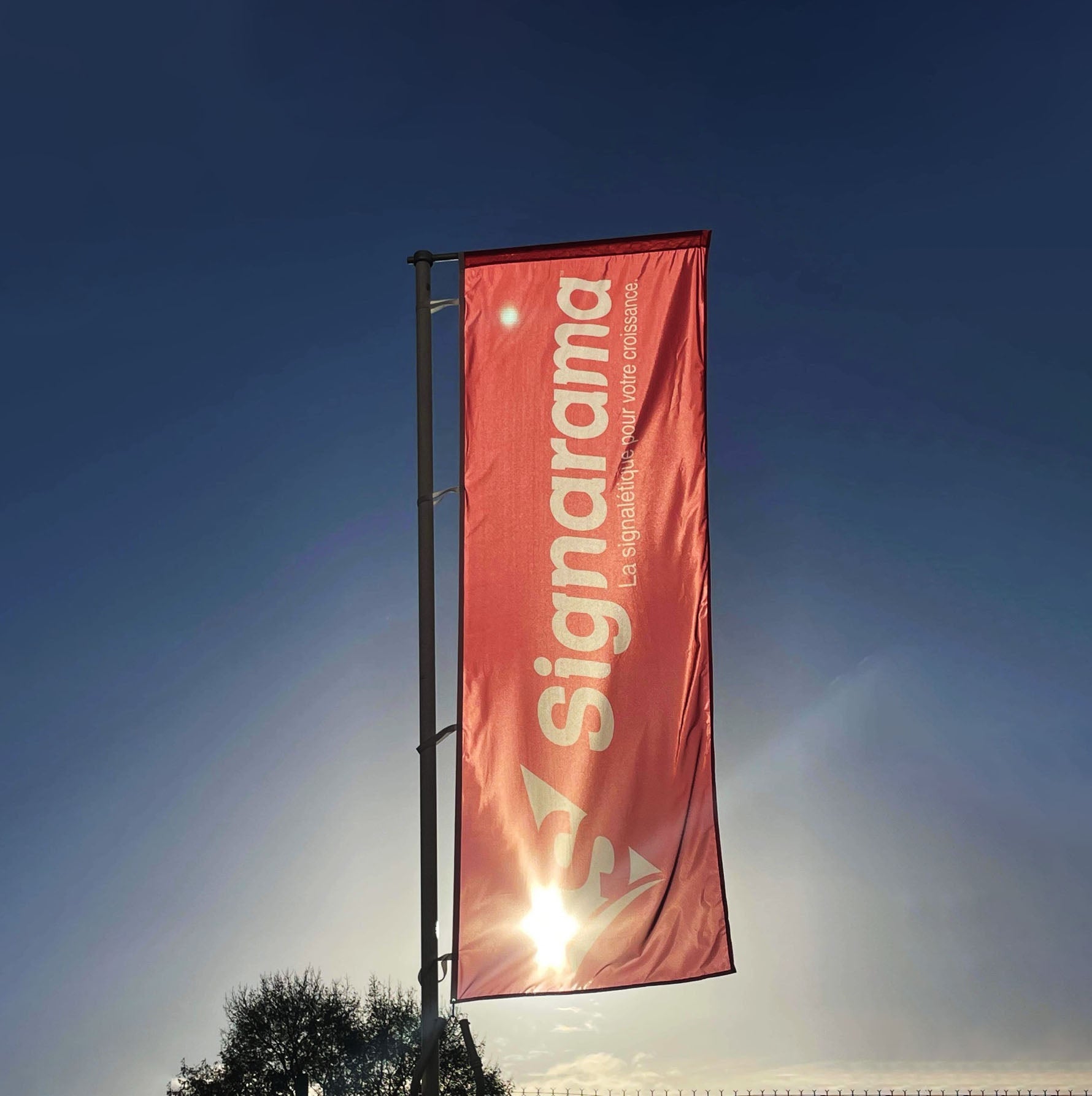 Drapeaux et Oriflammes