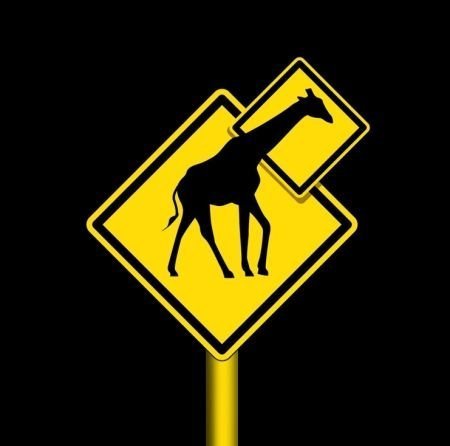 Funny Signs