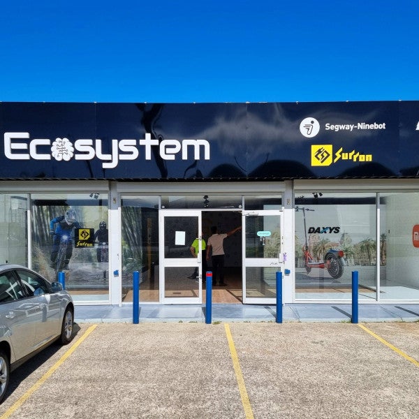 Ai Ecosystem
