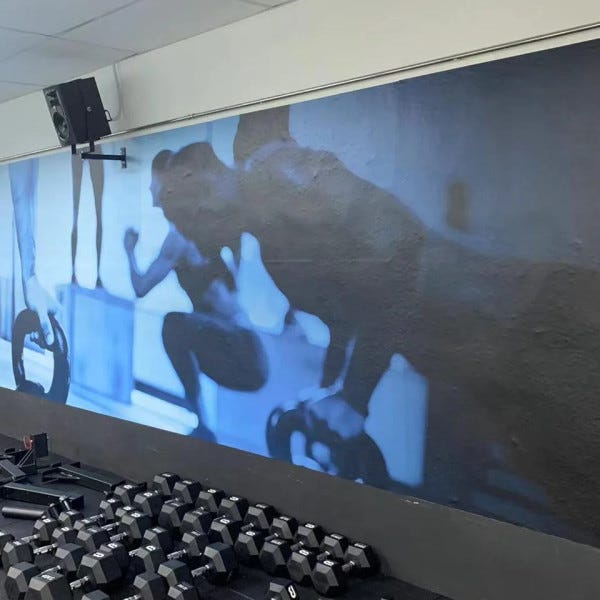 Full Digital Printed Wall Mural Sticker