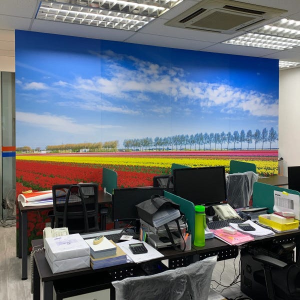 Full digital printed vinyl wall mural with lamination