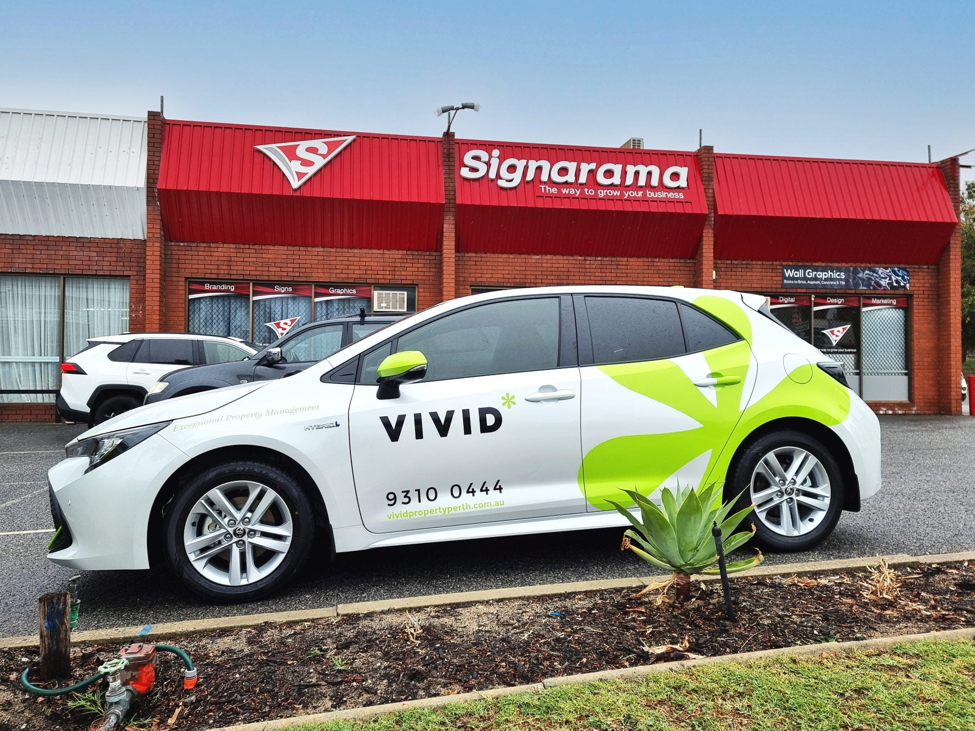 Vivid Property Corolla Wrap