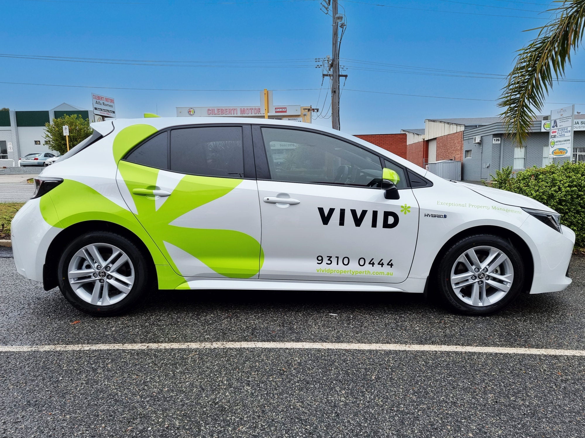 Vivid Property Corolla Wrap