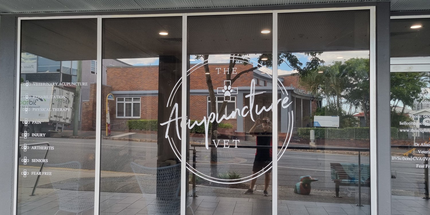 Window Graphics
