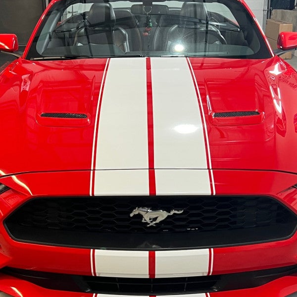 Mustang Stripes