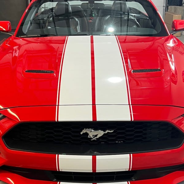 Mustang Stripes