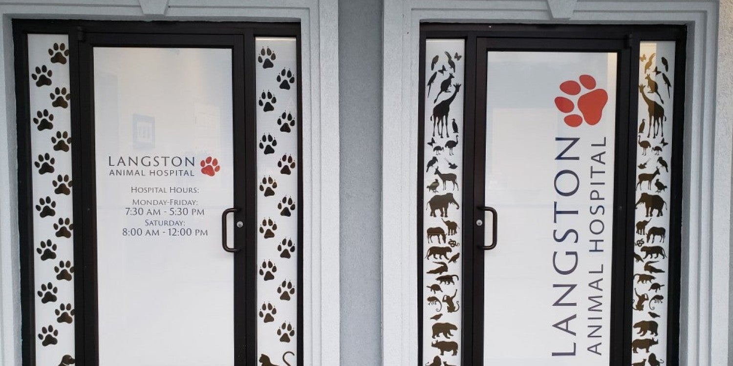 Window Graphics