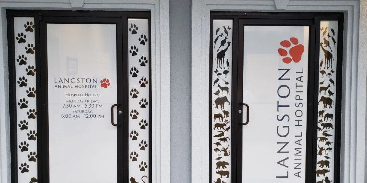 Storefront Window Graphics