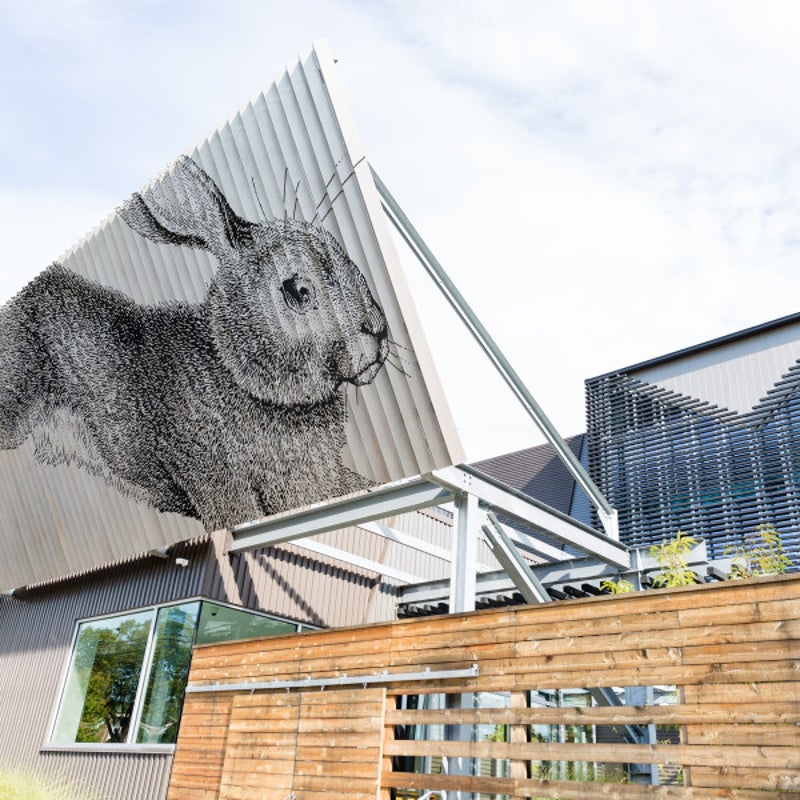 Awning & Fascia Signs