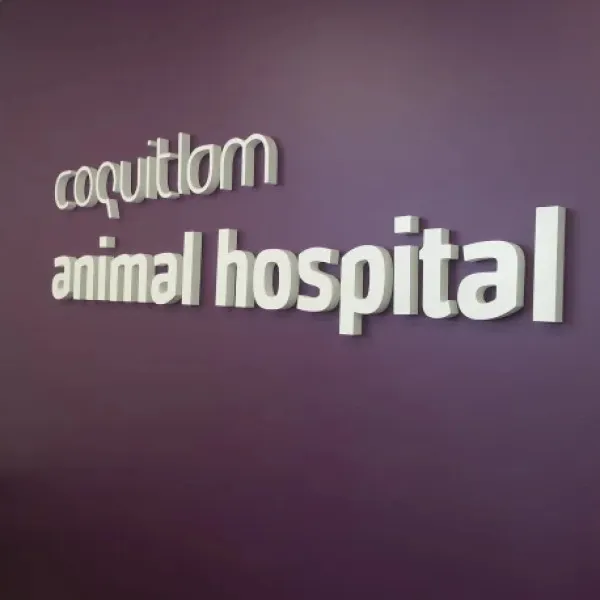Reception Sign - Coquitlam Animal Hospital