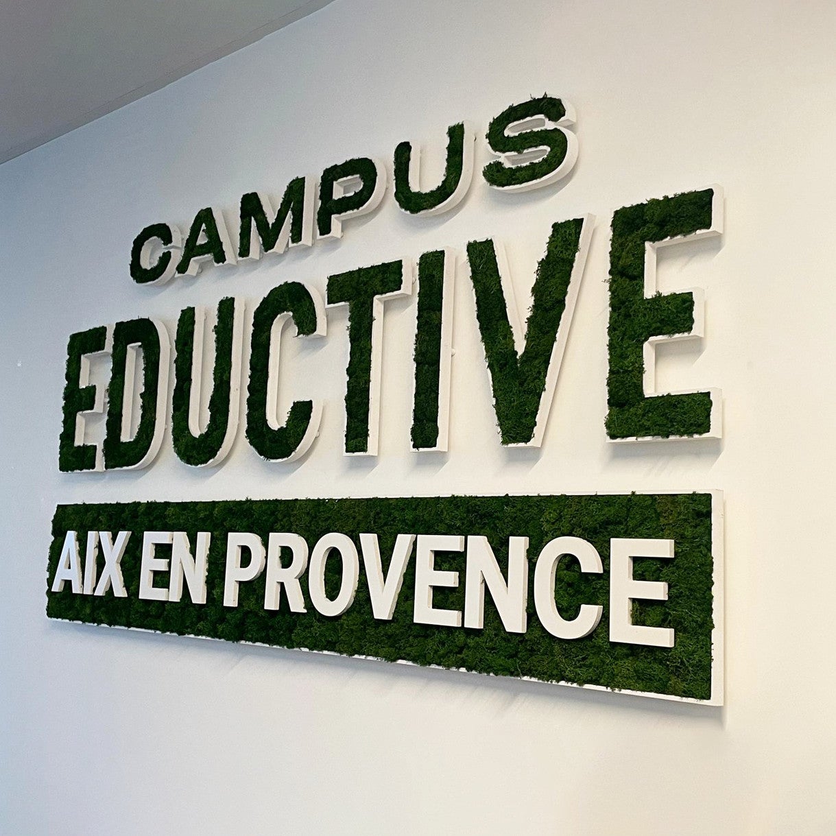 MAESTRIS_MARSEILLE_LETTRES VEGETALES