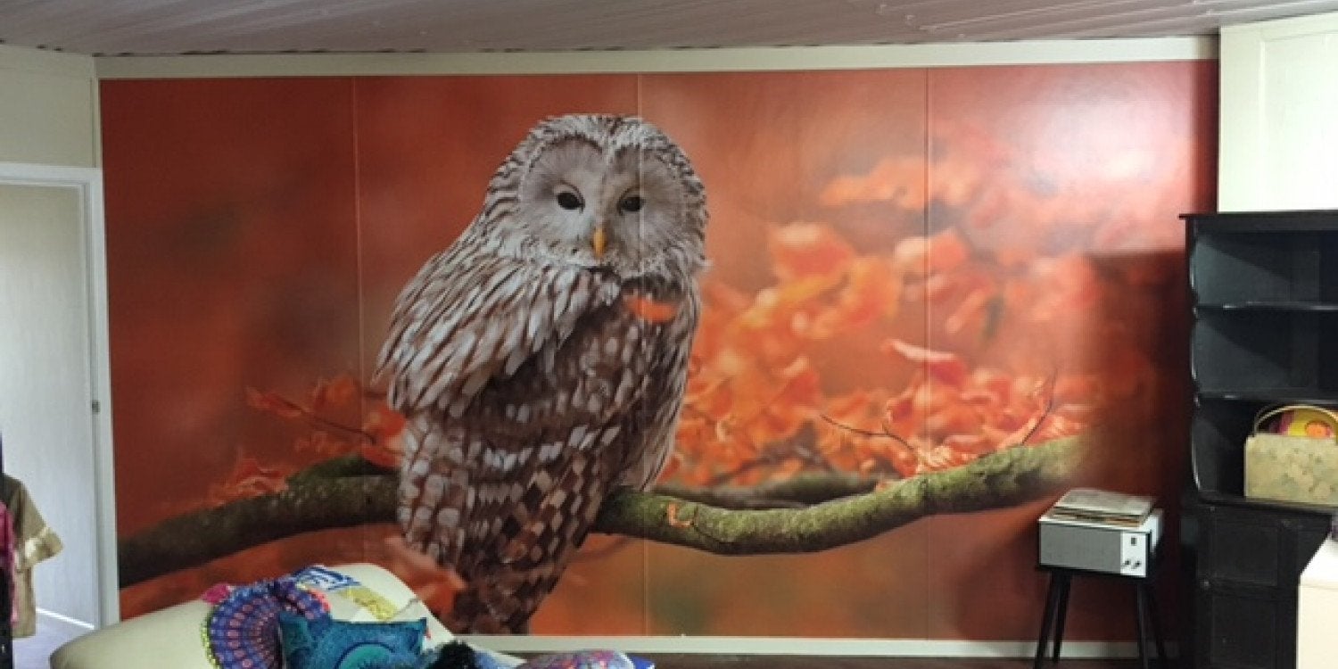 Wallpaper & Murals