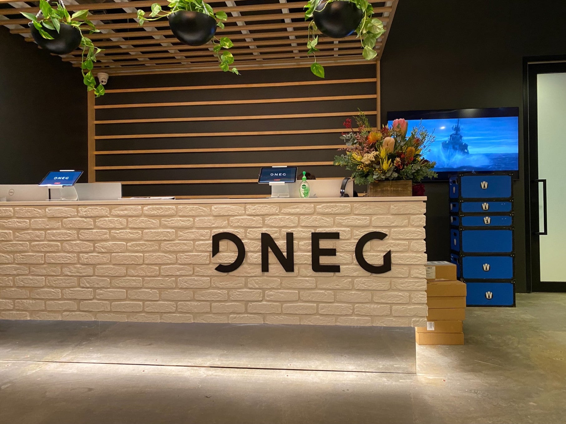 DNEG_3mm matte acrylic with inclined spacer letter_Reception Sign