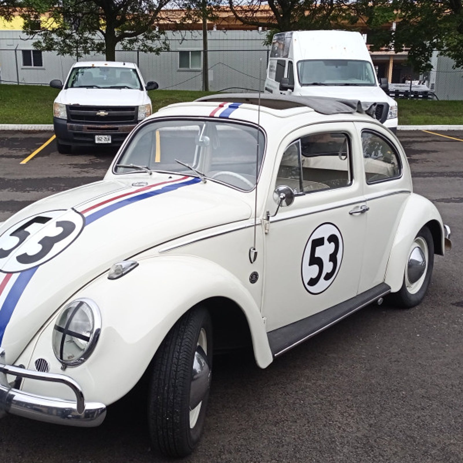 Vehicle decals and Striping-Herbie 53