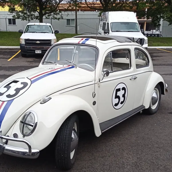 Vehicle decals and Striping-Herbie 53