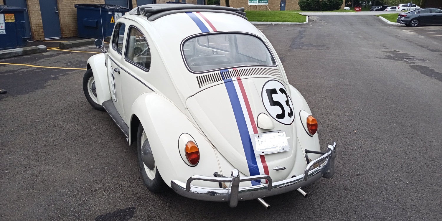Vehicle Lettering