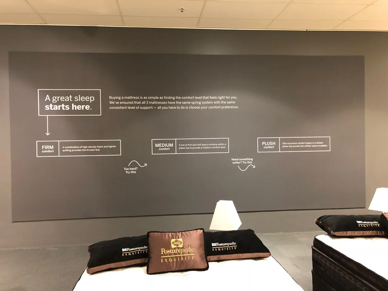 Wall Graphics and Murals
