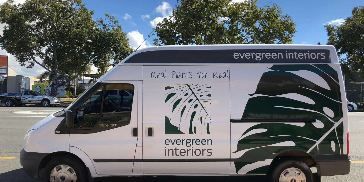 Van Wraps