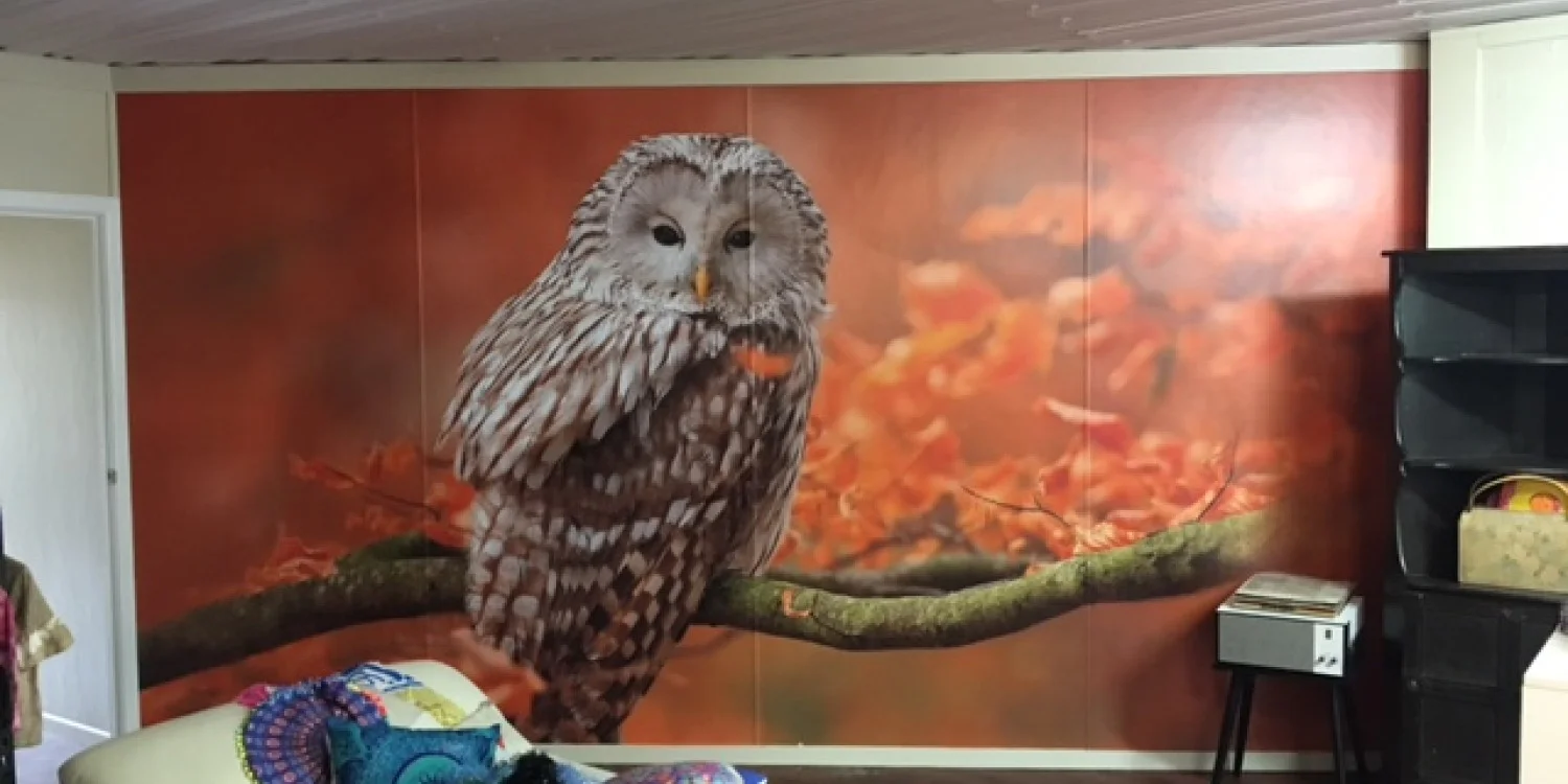 Wallpaper & Murals