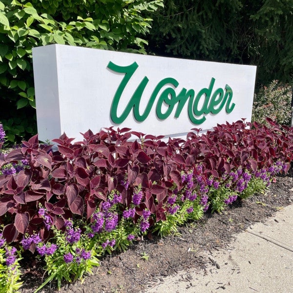 Did Somebody Say Wonder?!