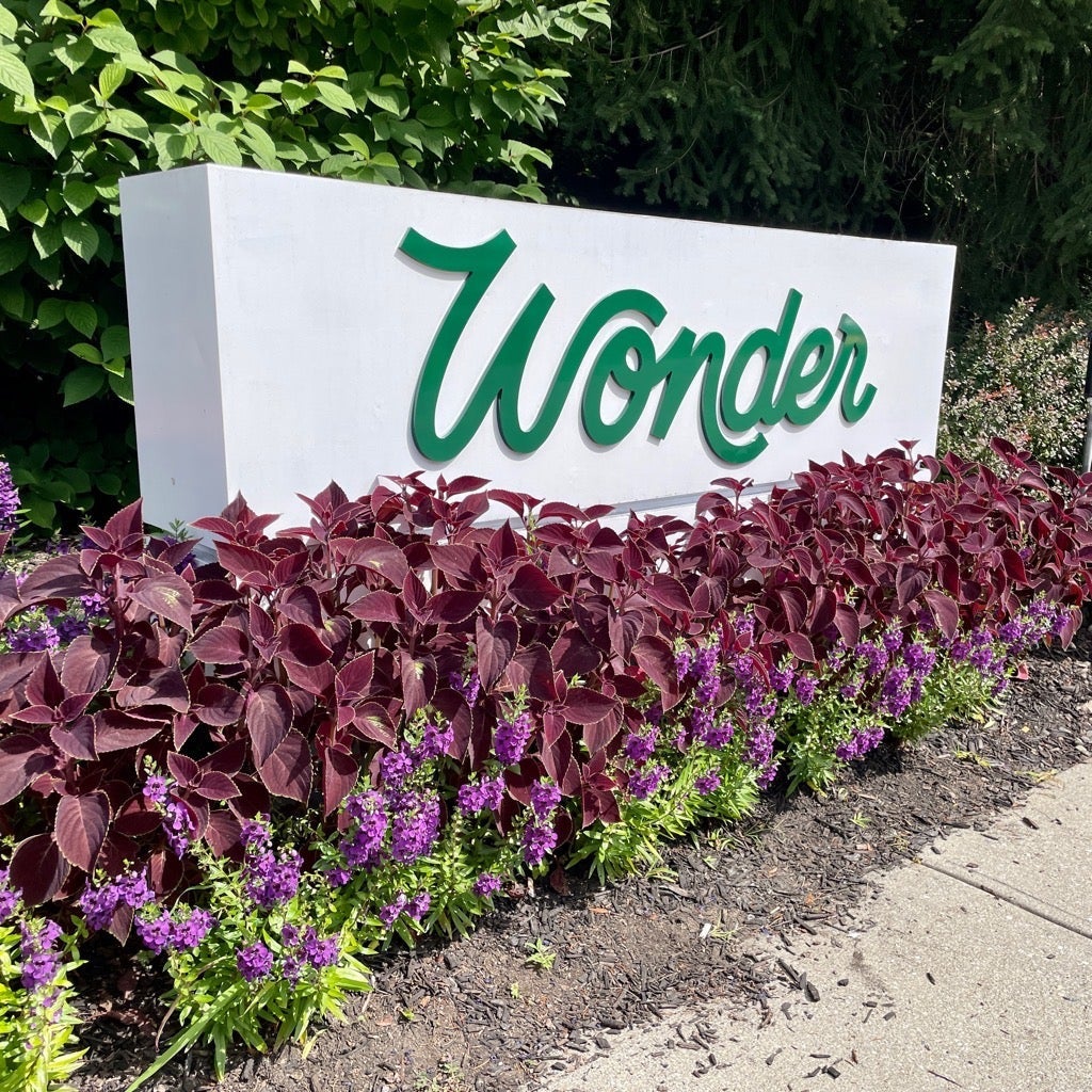 Did Somebody Say Wonder?!