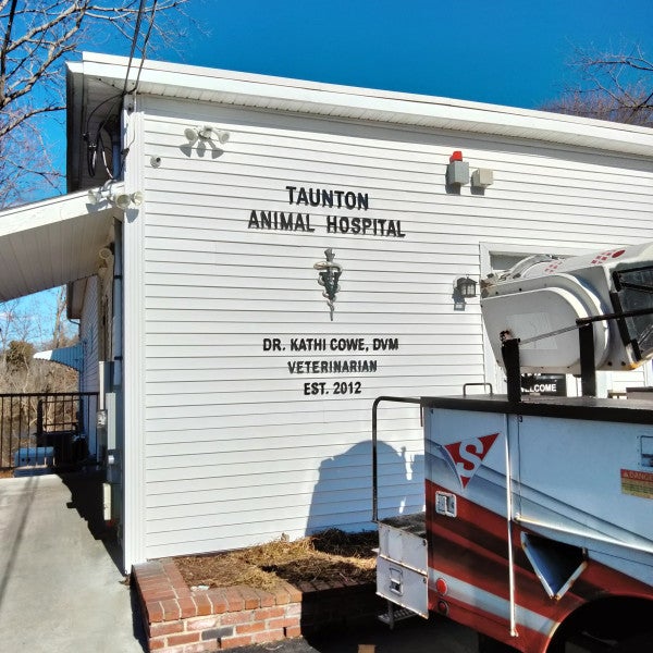 Taunton Animal Hospital Dimensional Letters