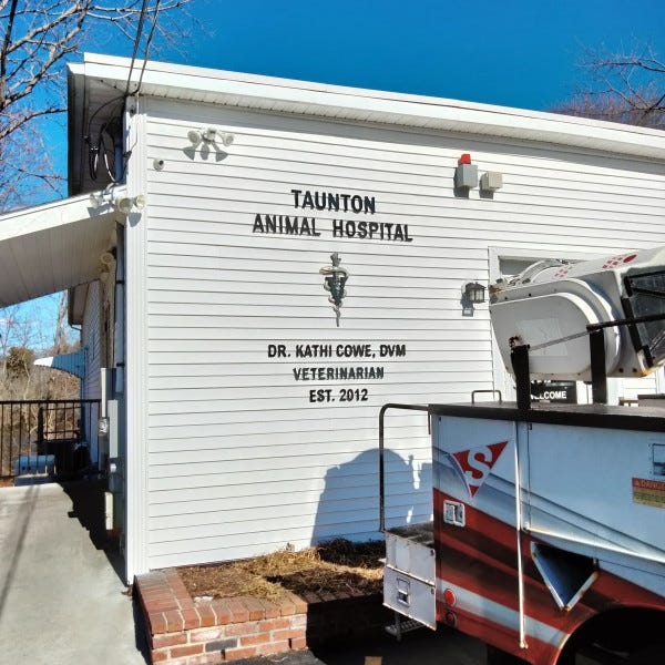 Taunton Animal Hospital Dimensional Letters