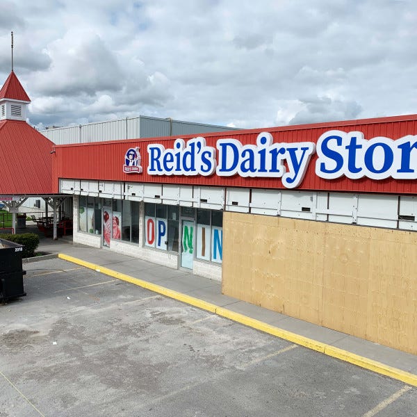 REIDS-DAIRY-IMG_2487