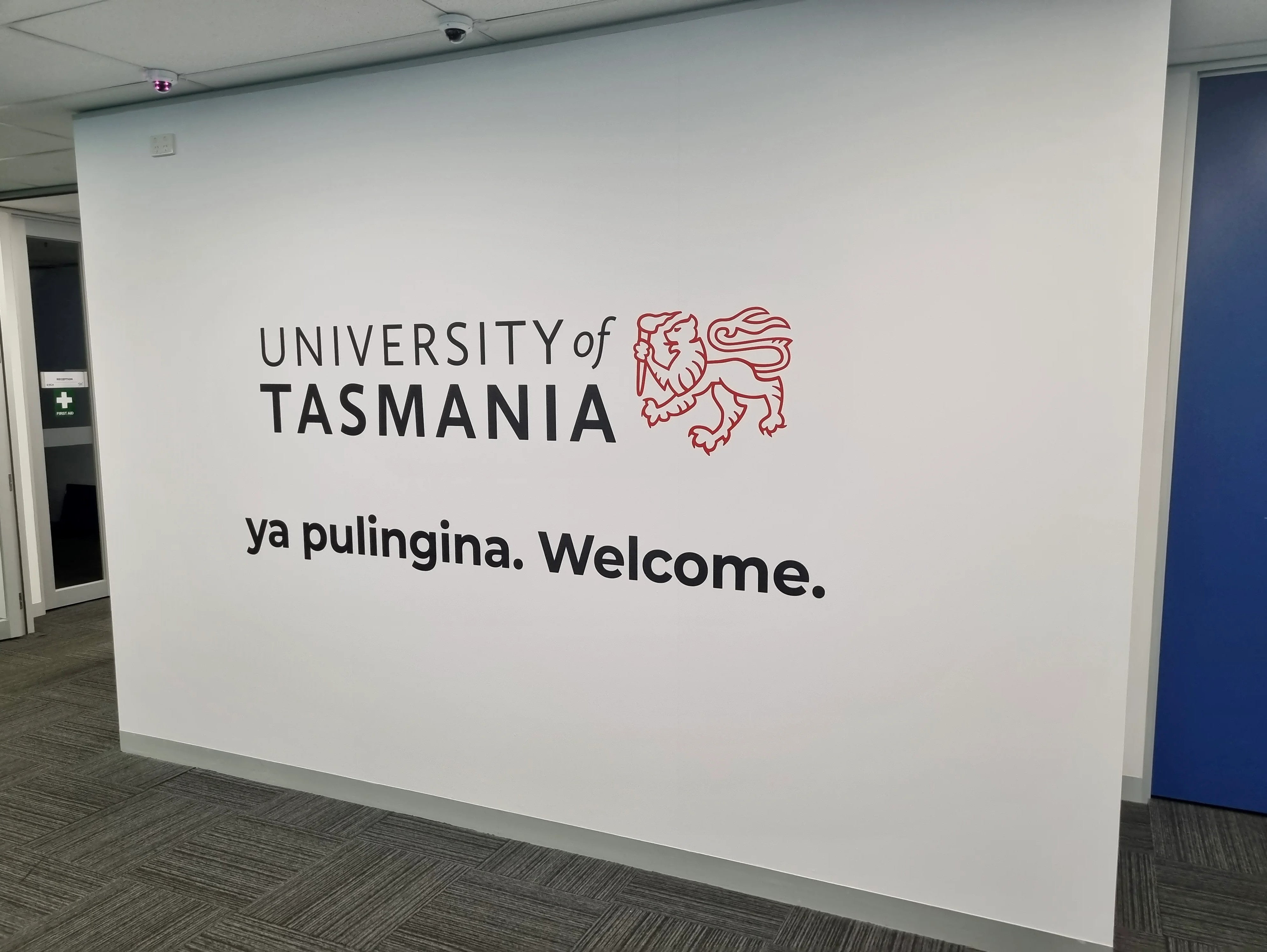 Wall Graphics - ECA.