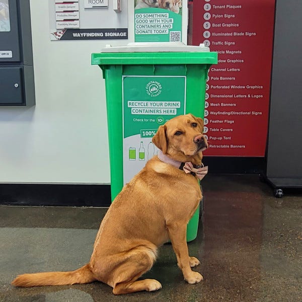 Amity - Pawsitivity Manager - Containers for Change