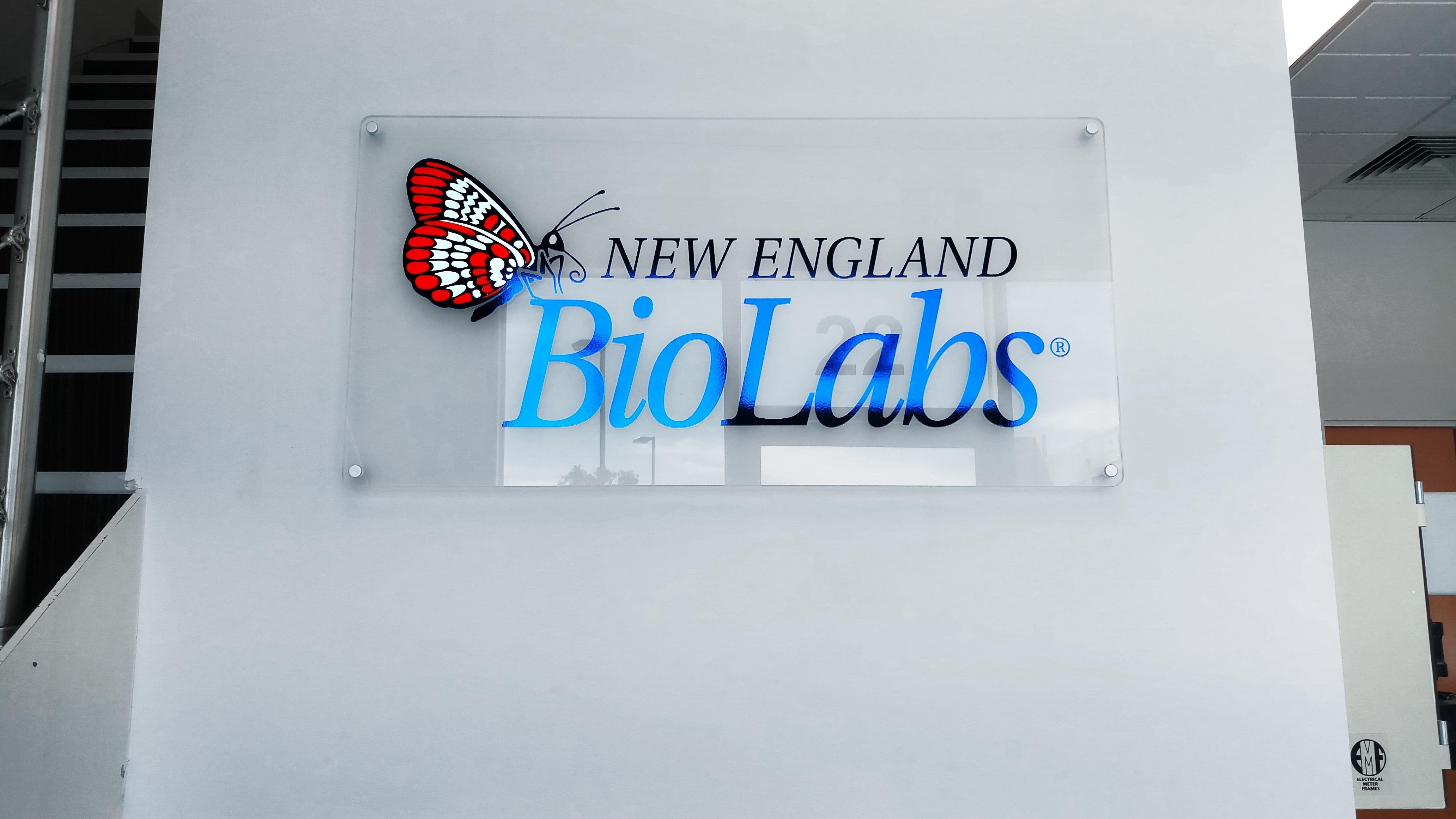 3D Wall Graphics for New England Biolabs