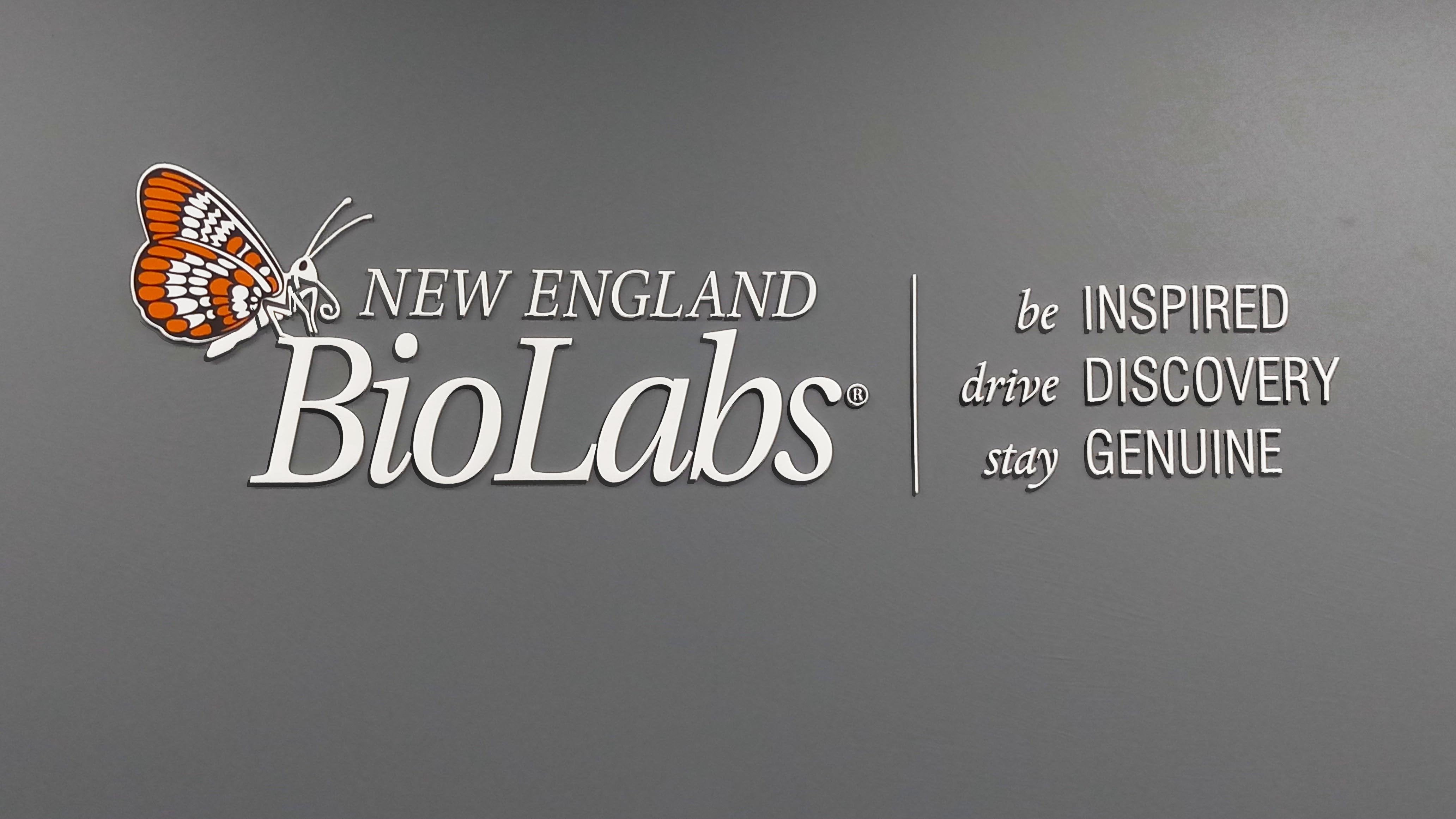 3D Wall Graphics for New England Biolabs