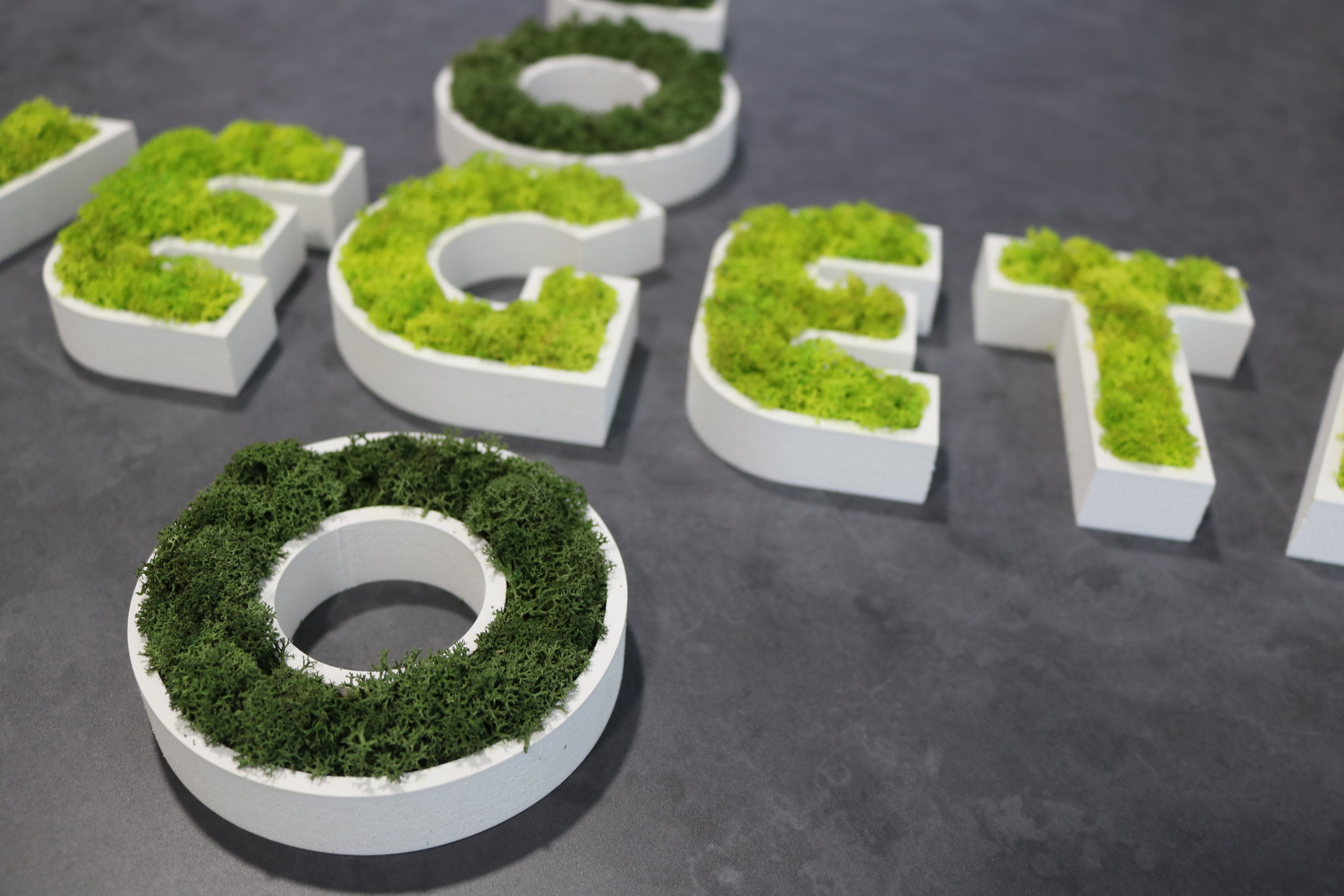 VOUS AUSSI OPTEZ POUR LE LOGO VEGETAL