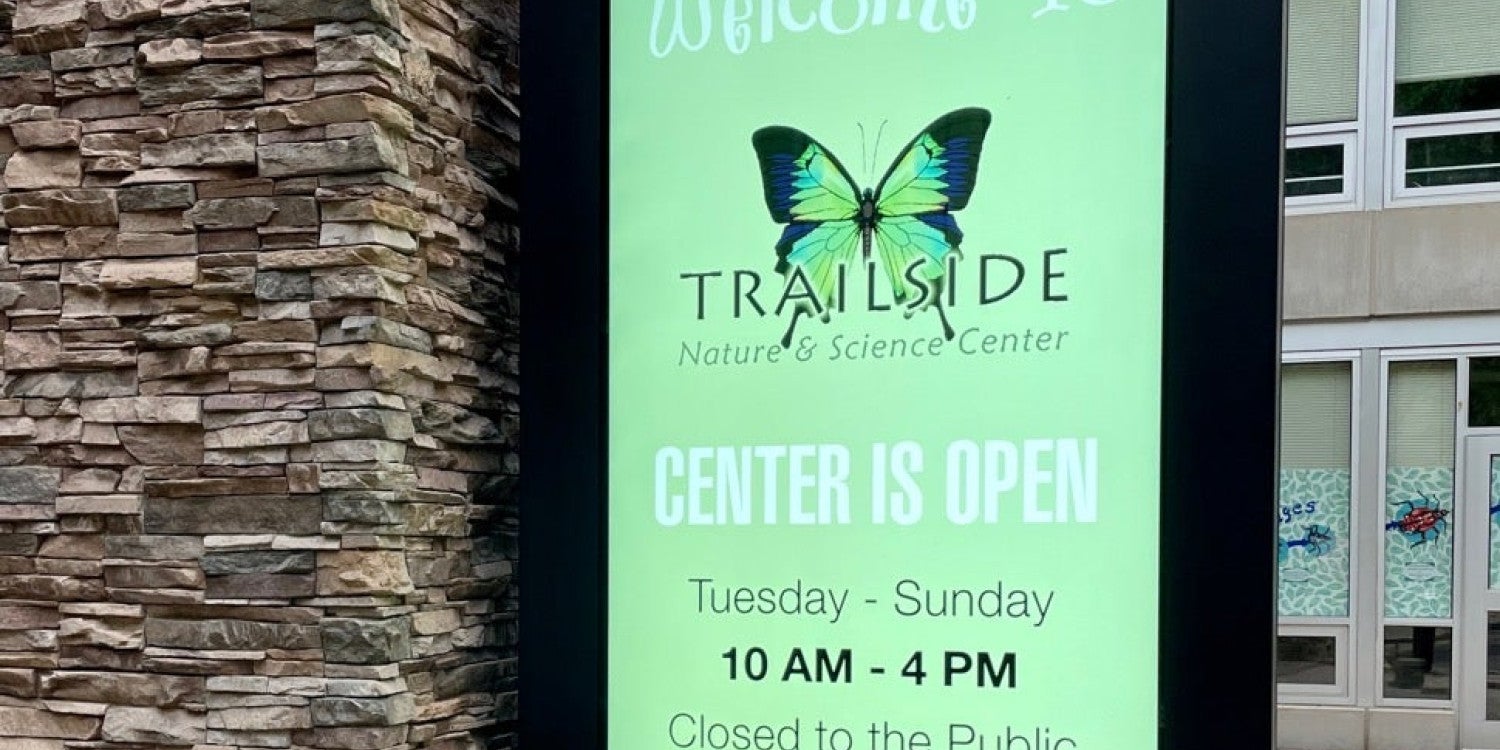 Digital Signs and Displays