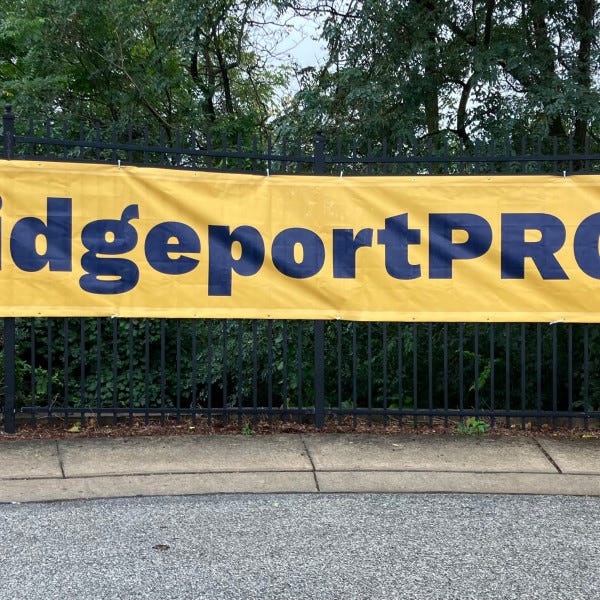 30 foot mesh banner