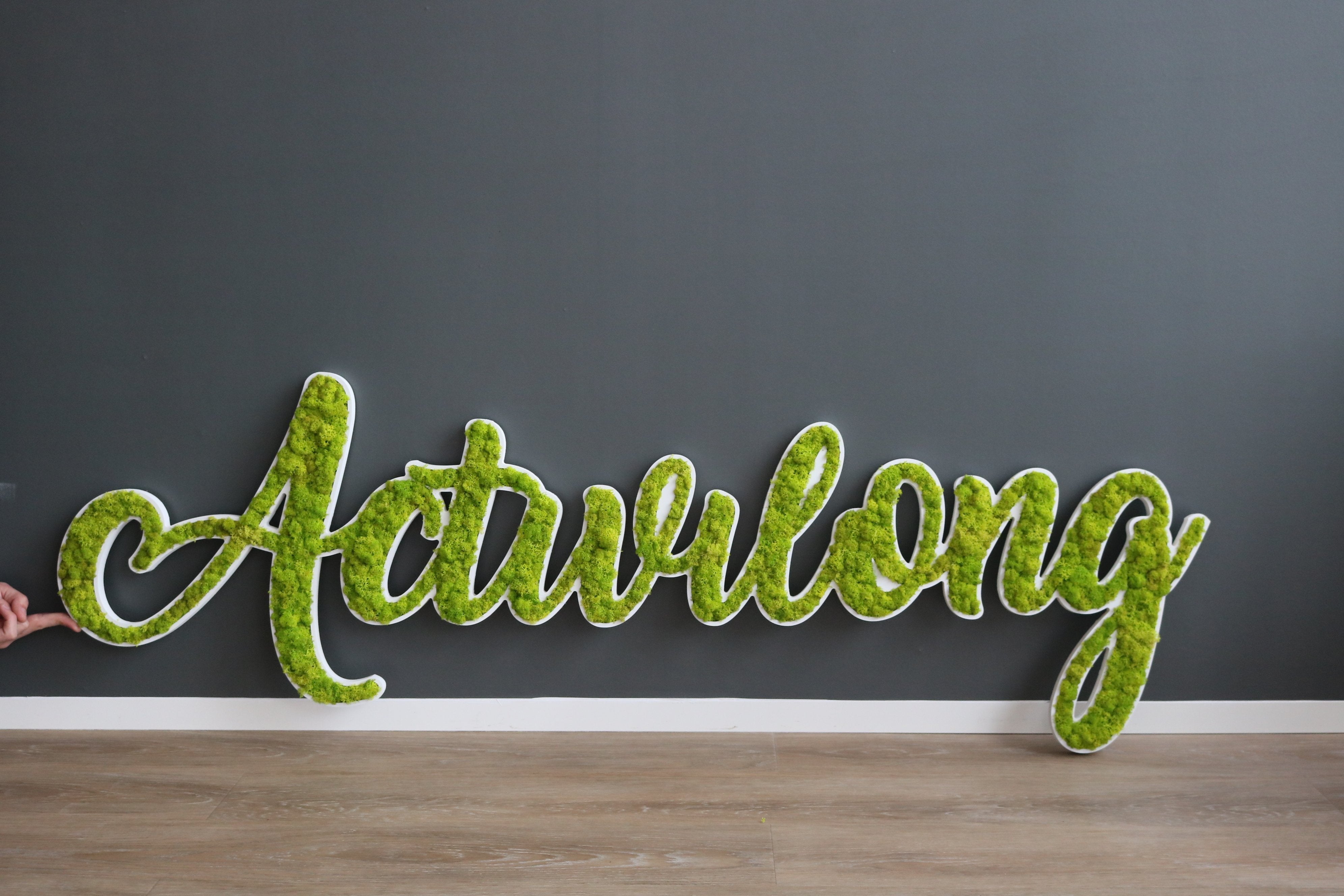 fabircation-de-logo-vegetal-montpellier