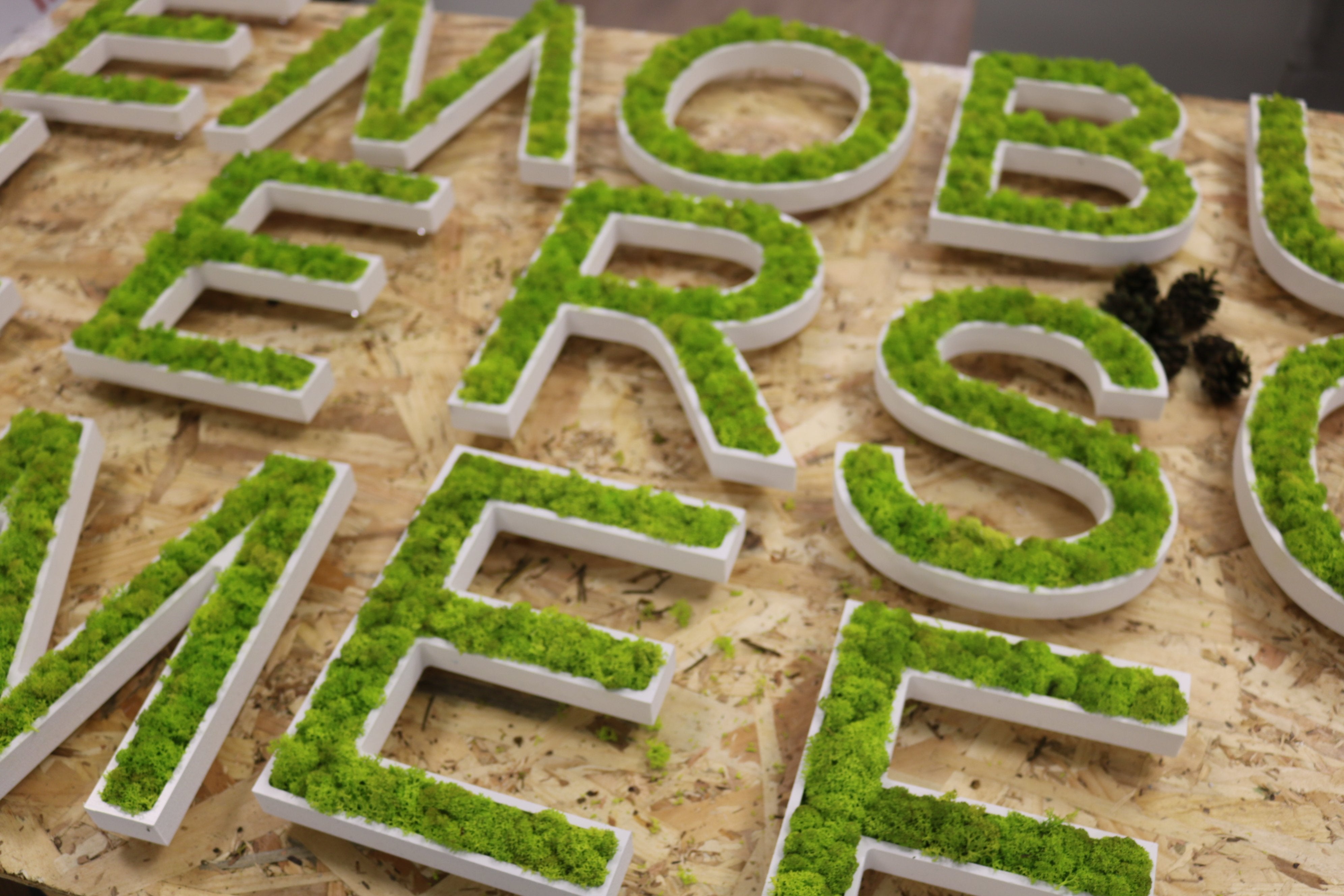 fabircation-de-logo-vegetal-montpellier
