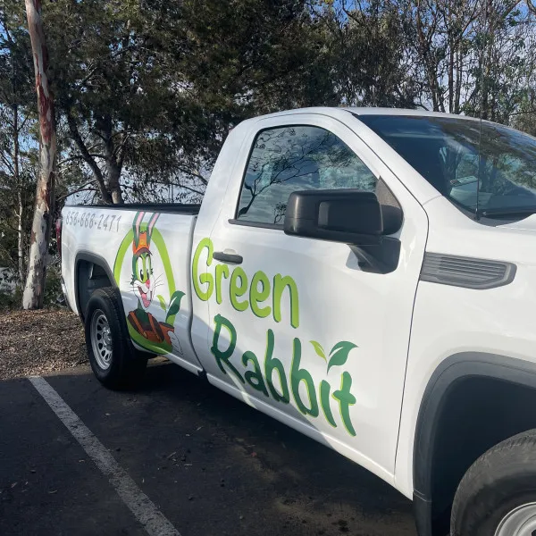 Vibrant vehicle wrap with eye-catching graphics and branding