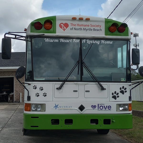 Bus wrap, window perf, vinyl